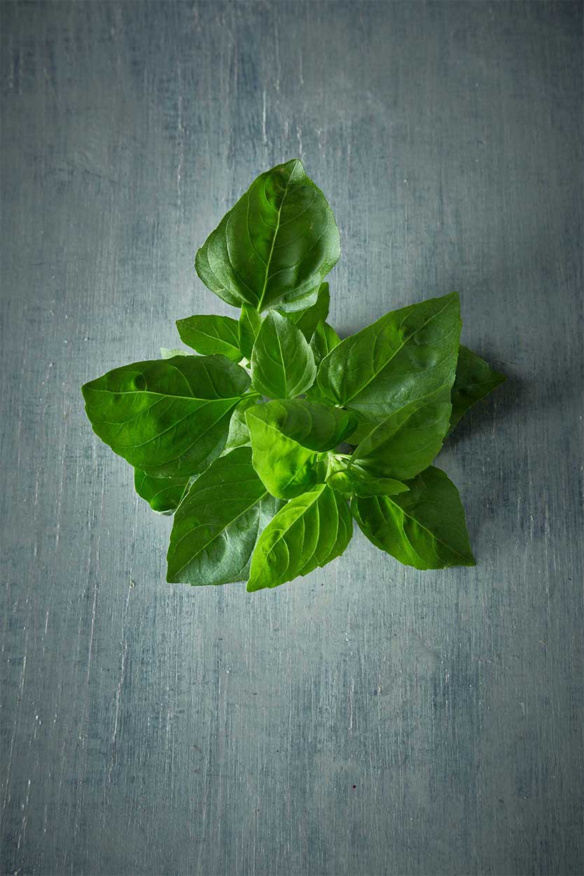 Nutrition coaching Nutrition coaching